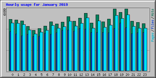 Hourly usage for January 2019