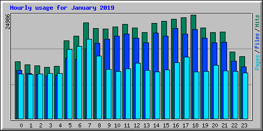 Hourly usage for January 2019