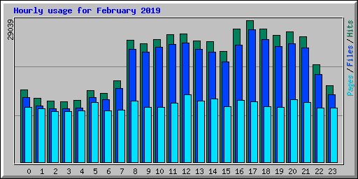 Hourly usage for February 2019