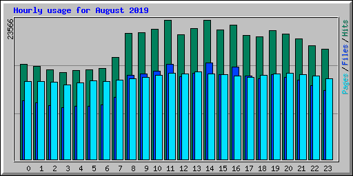 Hourly usage for August 2019